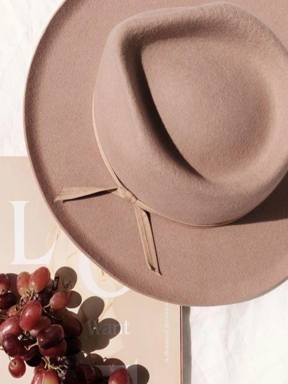 Lack Of Color Taupe Wide Brim Wool Fedora